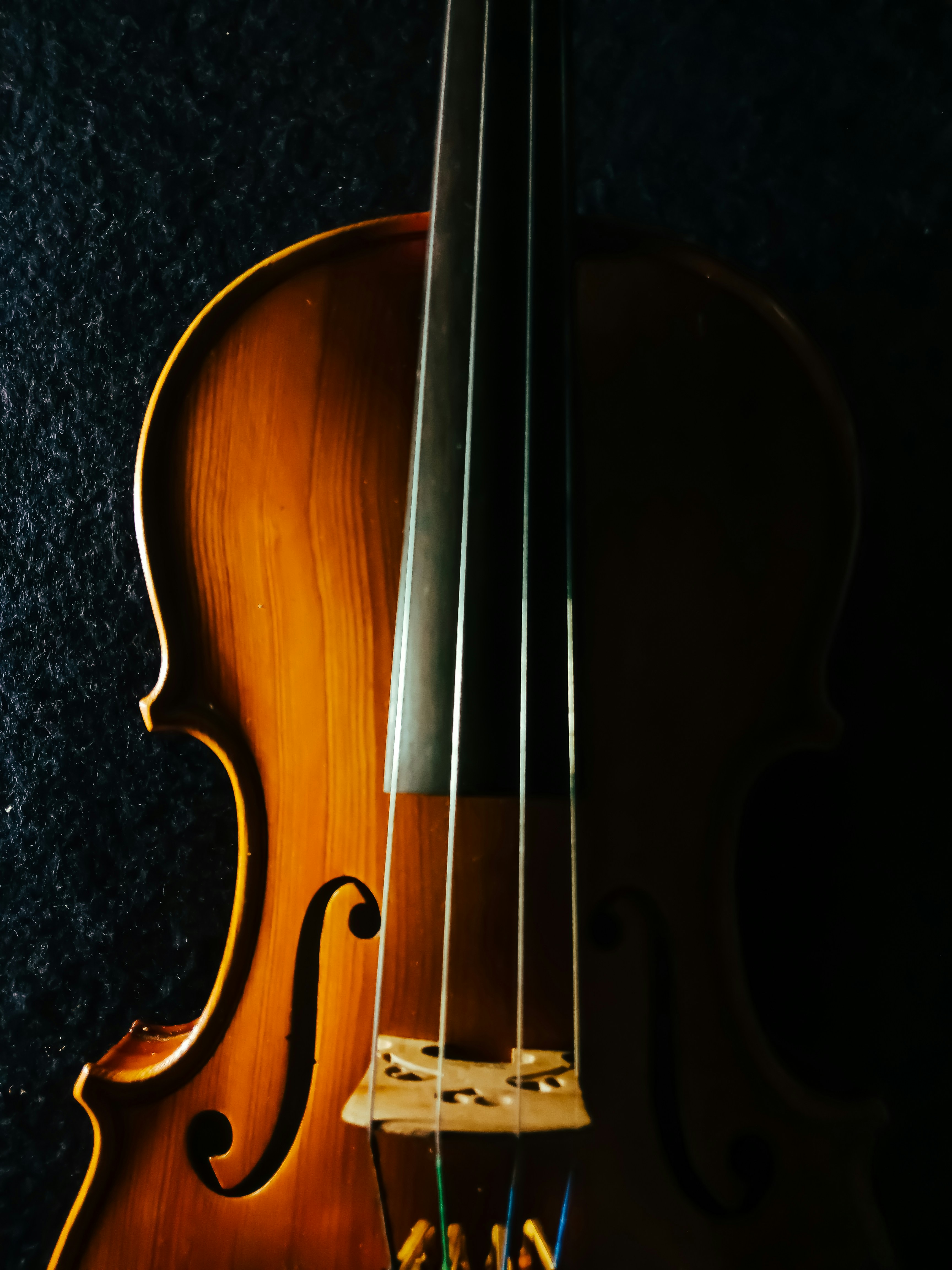 Un violon posé sur un tissu noir